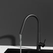Cefito Kitchen Mixer Tap Pull Out Round 2 Mode Sink Basin Faucet Swivel WELS Black